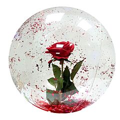 Μπαλόνι 24'' B-Loon Bubble Bobo (με μεγάλο λαιμό για γέμισμα)