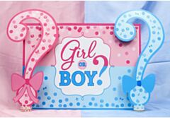 Banner Boy or Girl Gender Reveal Διάστασης  (97 cm x 150cm) 