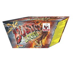 Πυροτεχνήματα 36 βολών βεντάλια SFC1536F1 Bustin Loose
