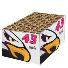 Πυροτεχνήματα 88 βολών TW43 Eagle Tropic