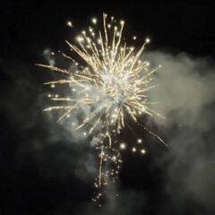 Fireworks 100 Shots Gold Bomber SFC9105