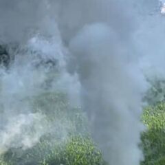 Smoke white TF21 4pcs pack